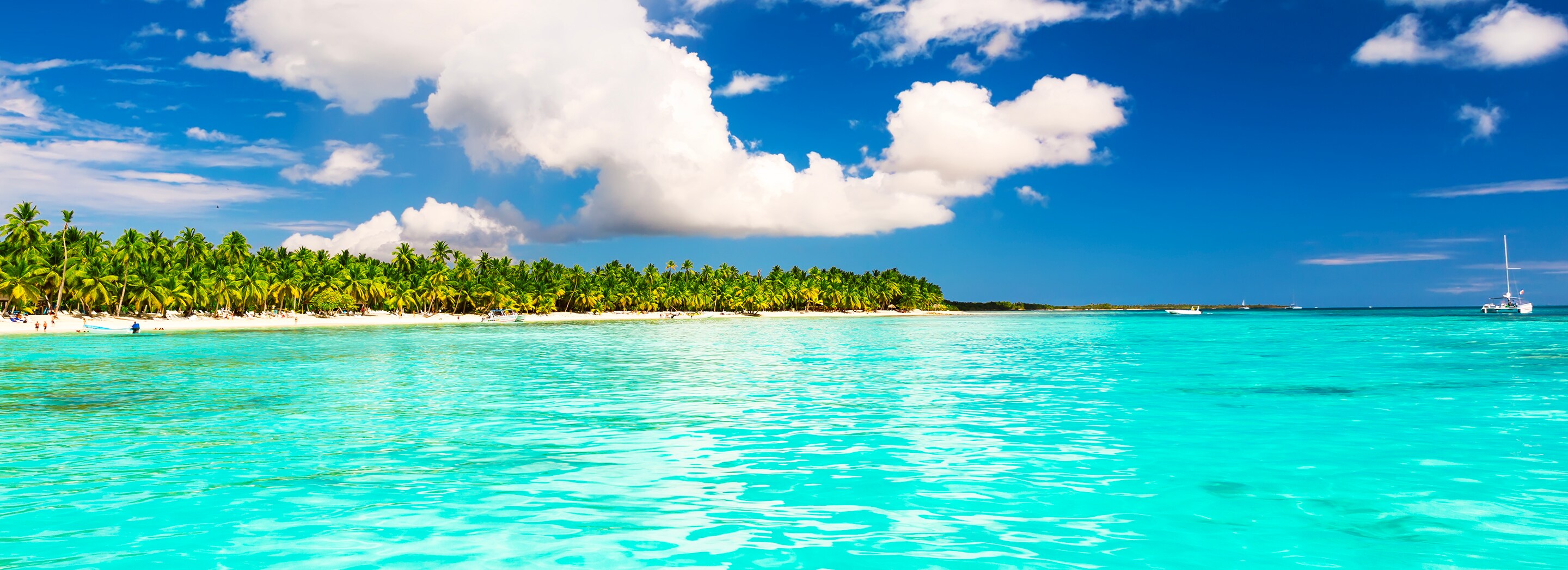 cruises from new york to dominican republic