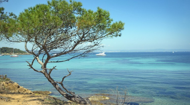 Tolone-La Seyne sur Mer in crociera Costa